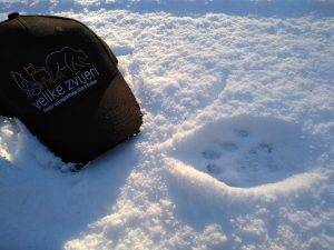 Trag risa u snijegu i kapa sa logotipom centra