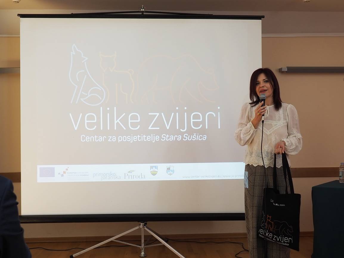 Sonja Šišić vodila je prezentaciju projekta za vizualni identitet centra